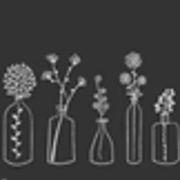 Dried Flowers & Decor
