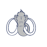 Mammoth Services