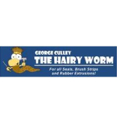 Hairy worm