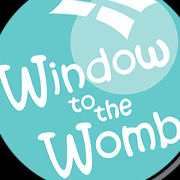 Window to the Womb Cardiff