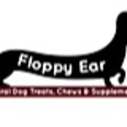 Floppy Ear