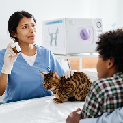 Veterinary Prescriber
