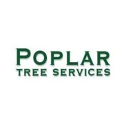 Arborist and tree surgeon