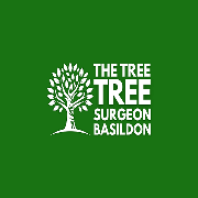 Basildon Tree Surgeon