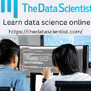 data scientist