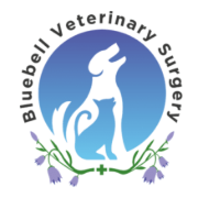 Bluebell Veterinary Surgery