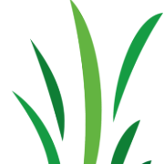 Artificial Grass