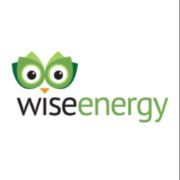 Wise Energy Solutions Ltd